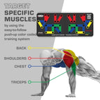FlexIFit – Faltbares Push-up Board mit 30 Positionen für gezieltes Muskeltraining - sellene.de