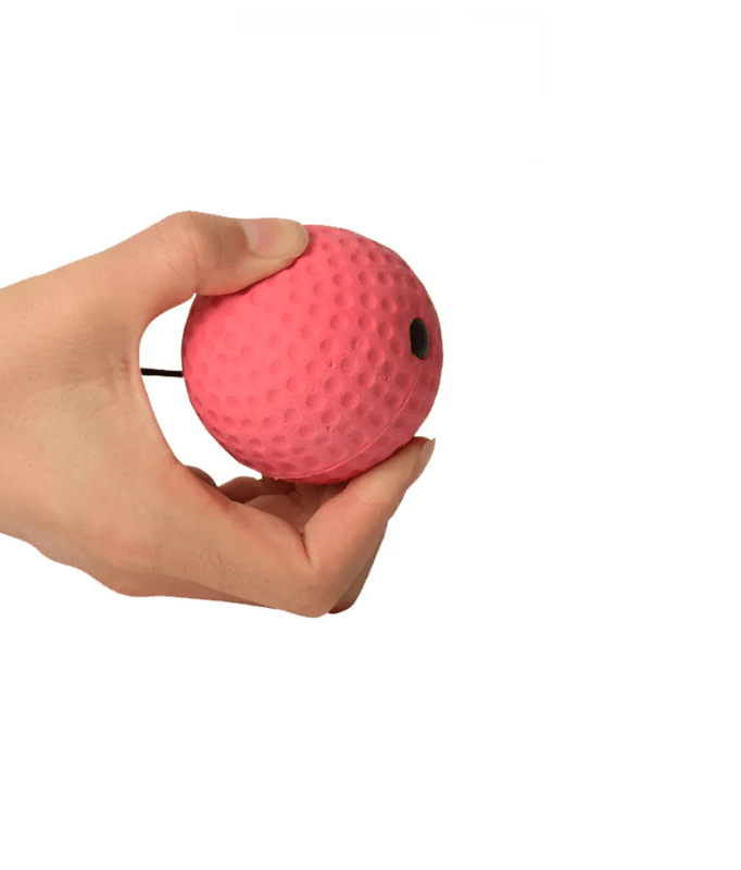 PunchPro – Reflexball für Boxtraining & Reaktionsverbesserung mit 2 Trainingsbällen - sellene.de
